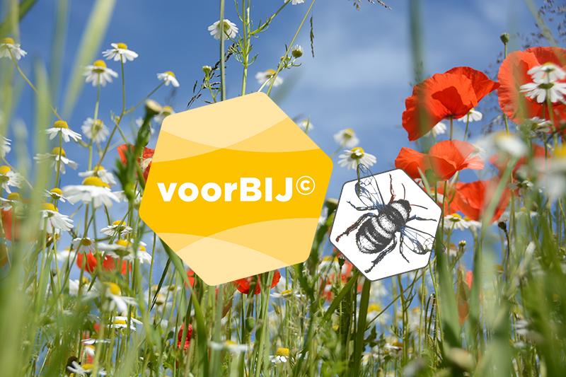 Voorbij 2
